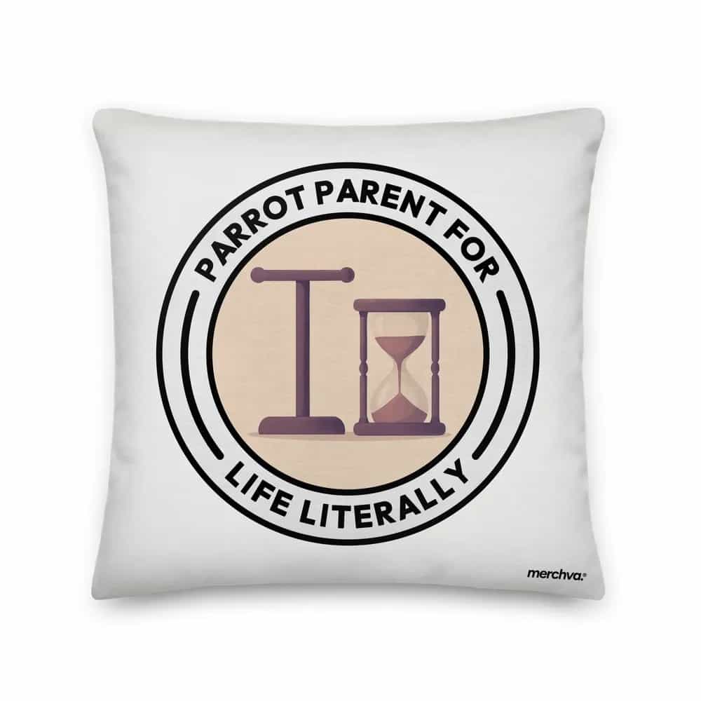 Pillow
