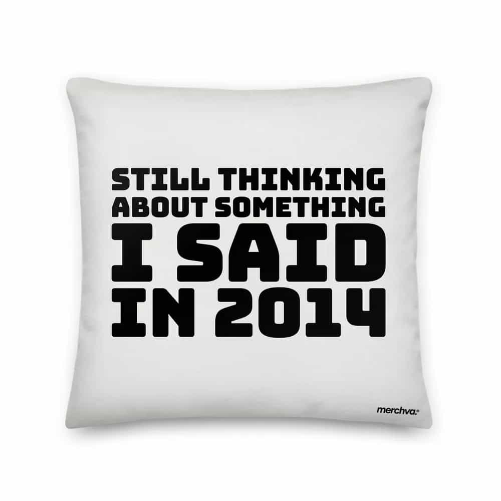 Still Thinking About Something I Said In 2014, Pillow