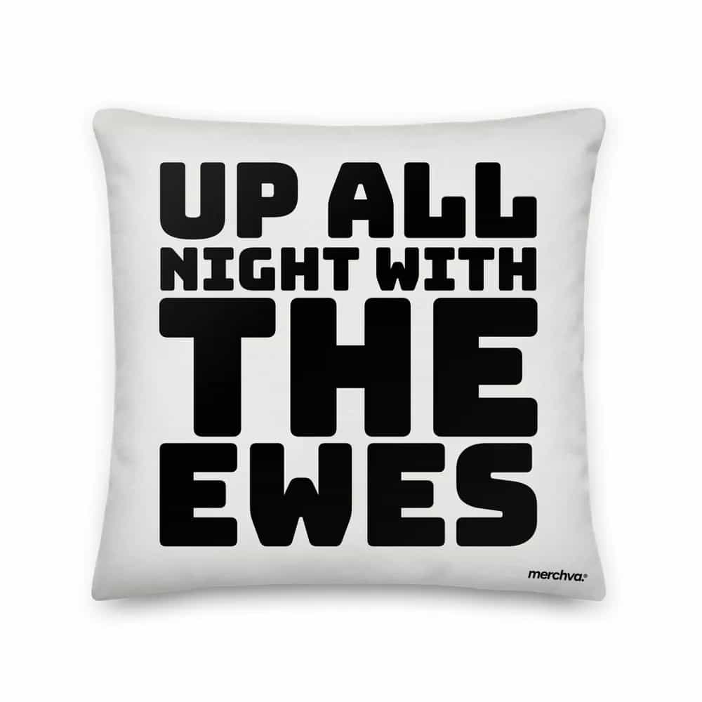 Up All Night With The Ewes, Pillow
