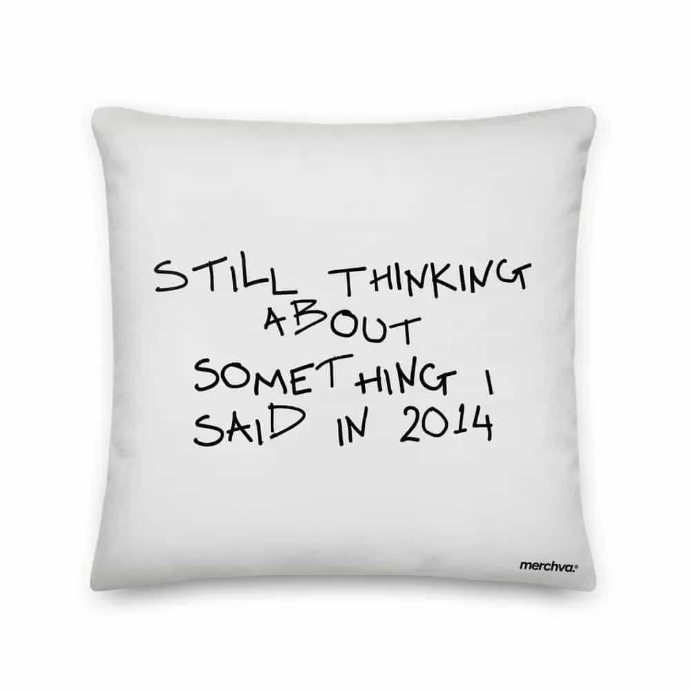 Still Thinking About Something I Said In 2014, Pillow