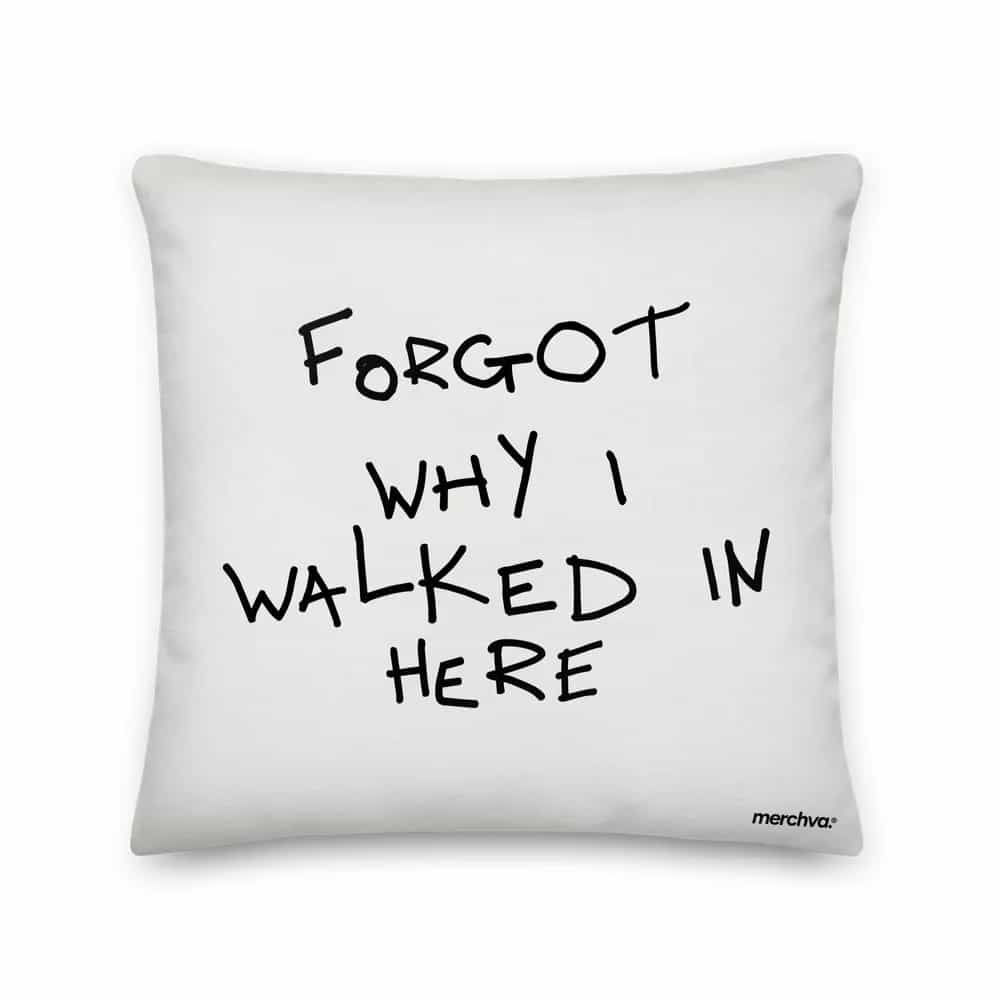 Forgot Why I Walked In Here, Pillow