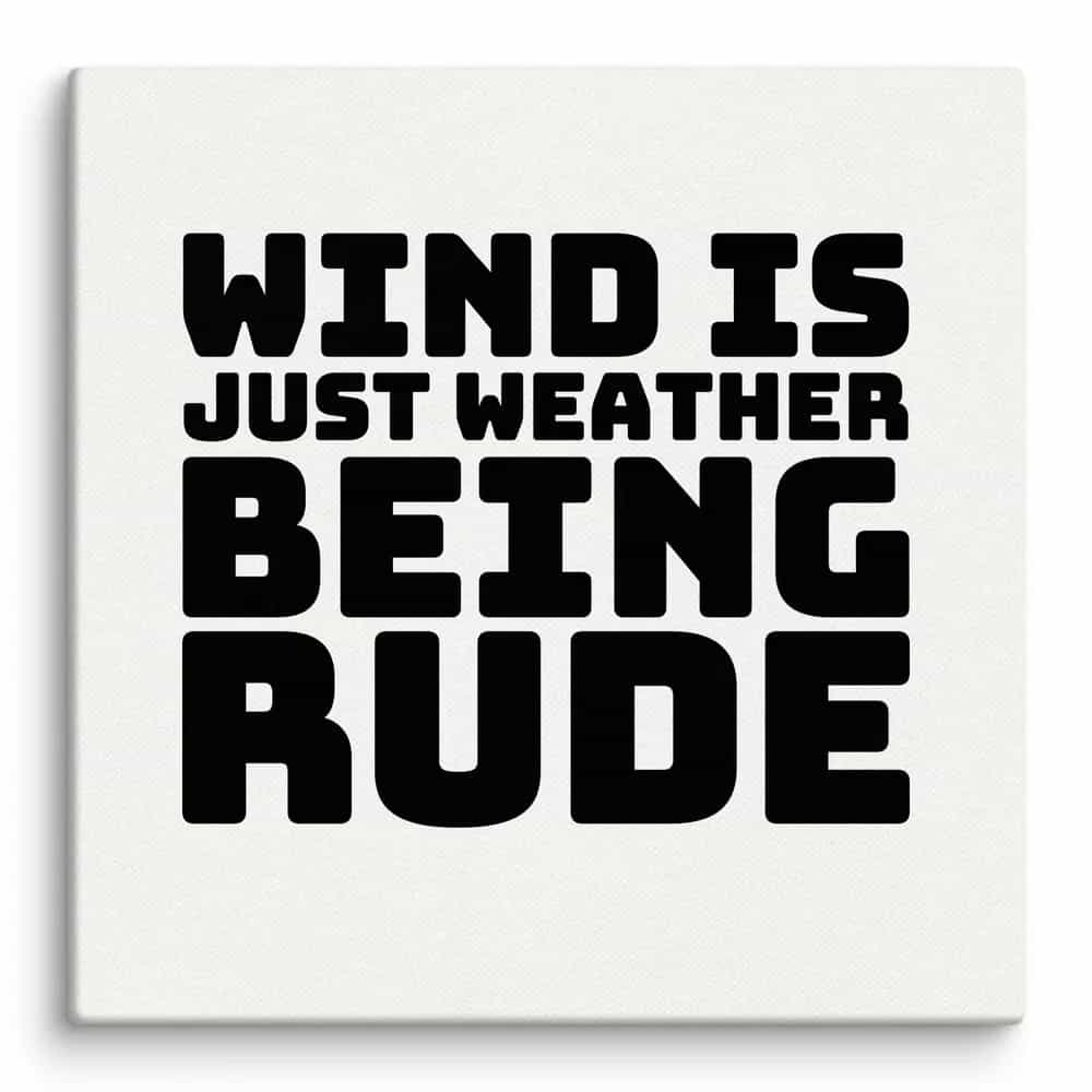 Wind Is Just Weather Being Rude, Wall Art