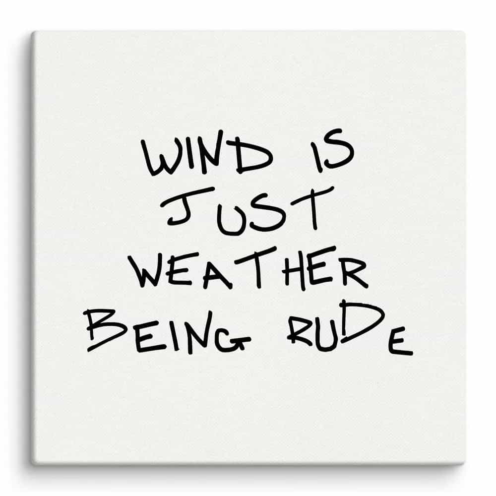 Wind Is Just Weather Being Rude, Wall Art